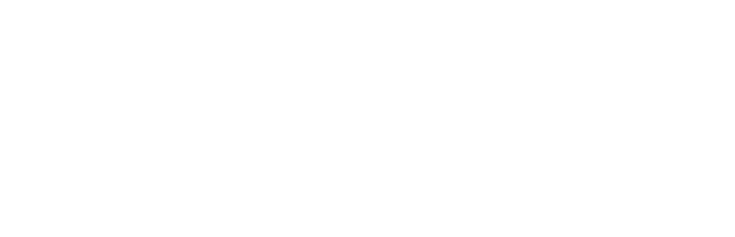 FlexReliefStore